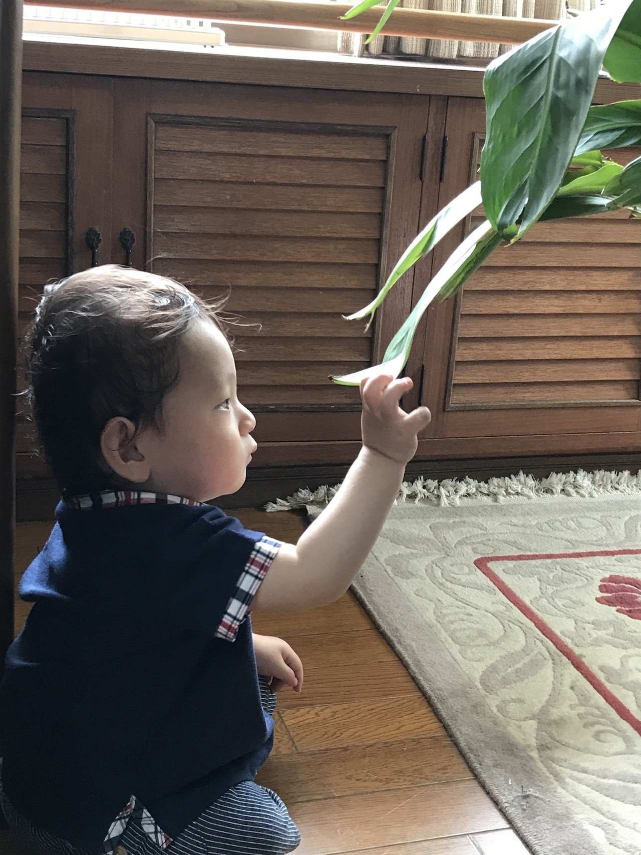 0歳児 絶壁な息子とドーナツ枕の旅 4歳になるまで まゆみっこ 根っこの子育て奮闘記 Note