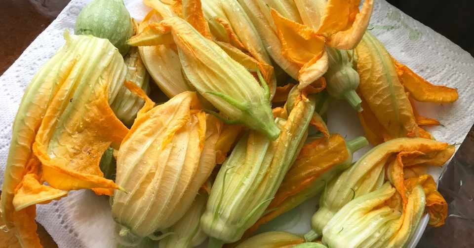 念願のズッキーニの花を料理して食す ゆりとむ Note
