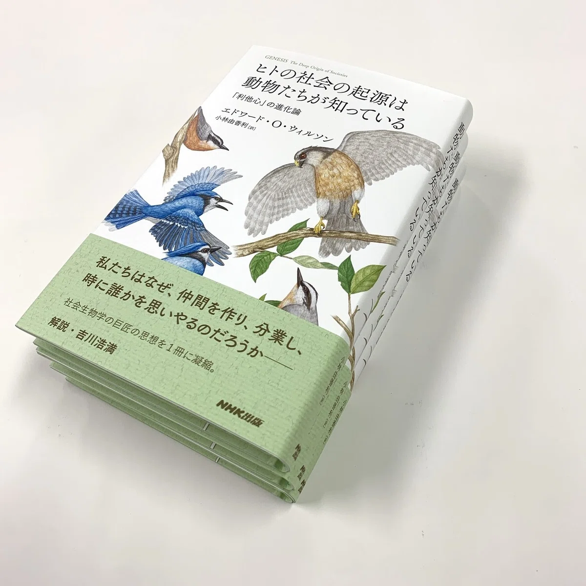 進化はいかに「社会」を生み出すのだろうか？〜E・O・ウィルソン『ヒト