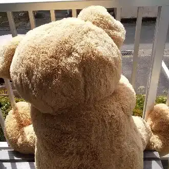 🧸ともとも🧸