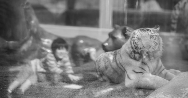 Photoshop 覆い焼き 焼き込みツールの元々 暗室でのプリント作業 武 良 Note