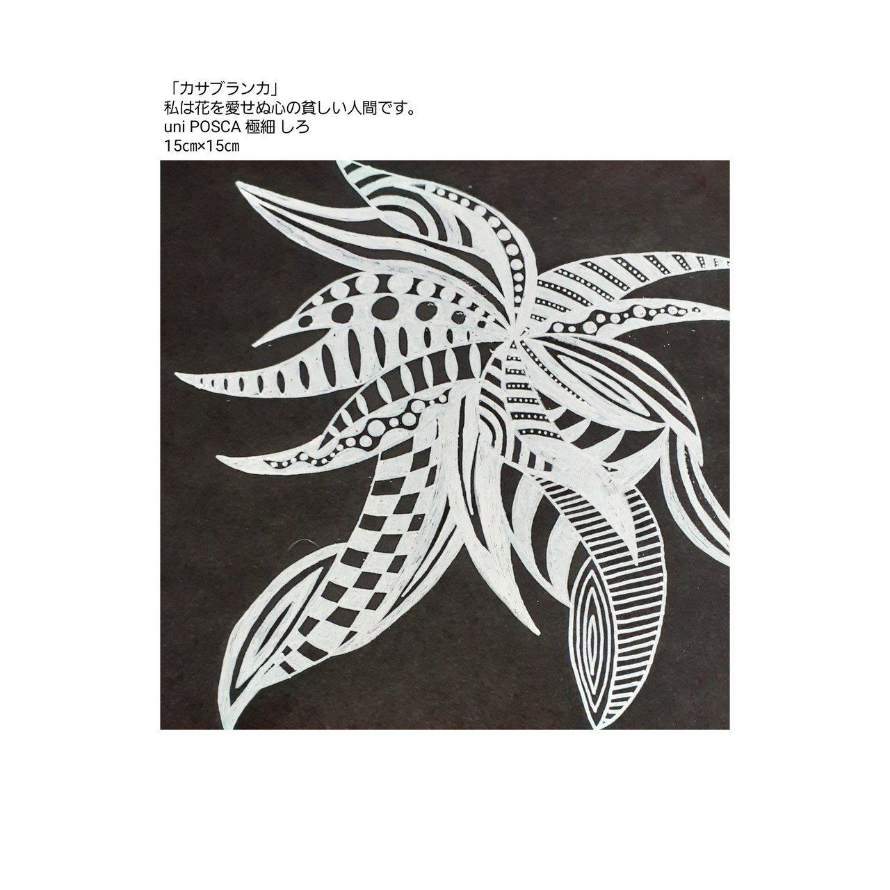 カサブランカ 佐藤葉月 Note
