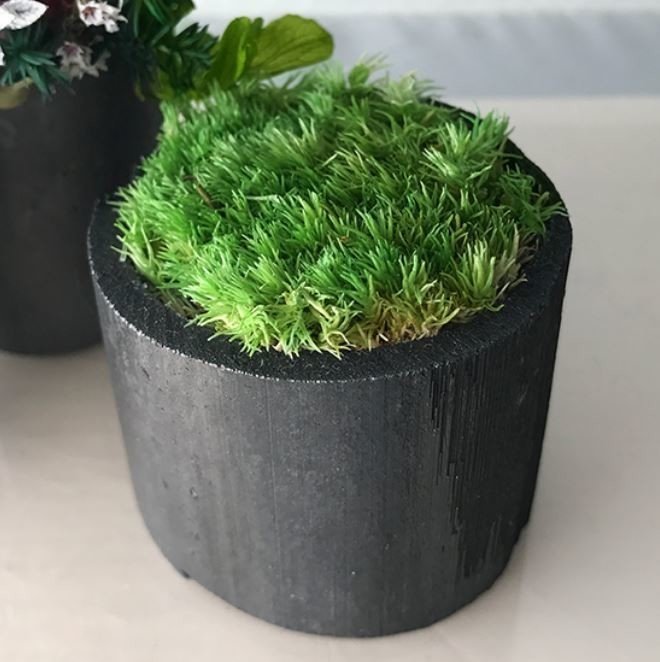 Takesumi 飾り竹炭 花飾り 赤 苔庭 s 水引 s セット 竹炭インテリア Takesumi Note Takesumi 飾り竹炭 花飾り 赤 苔庭 s 水引 s セット 竹炭インテリア Takesumi Note