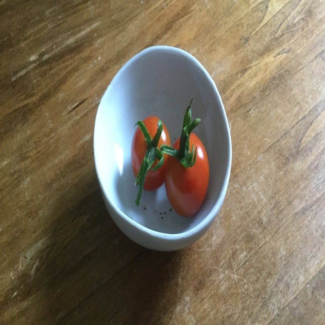 庭と畑の記録 13 ミニトマト その後 なな艸 Note