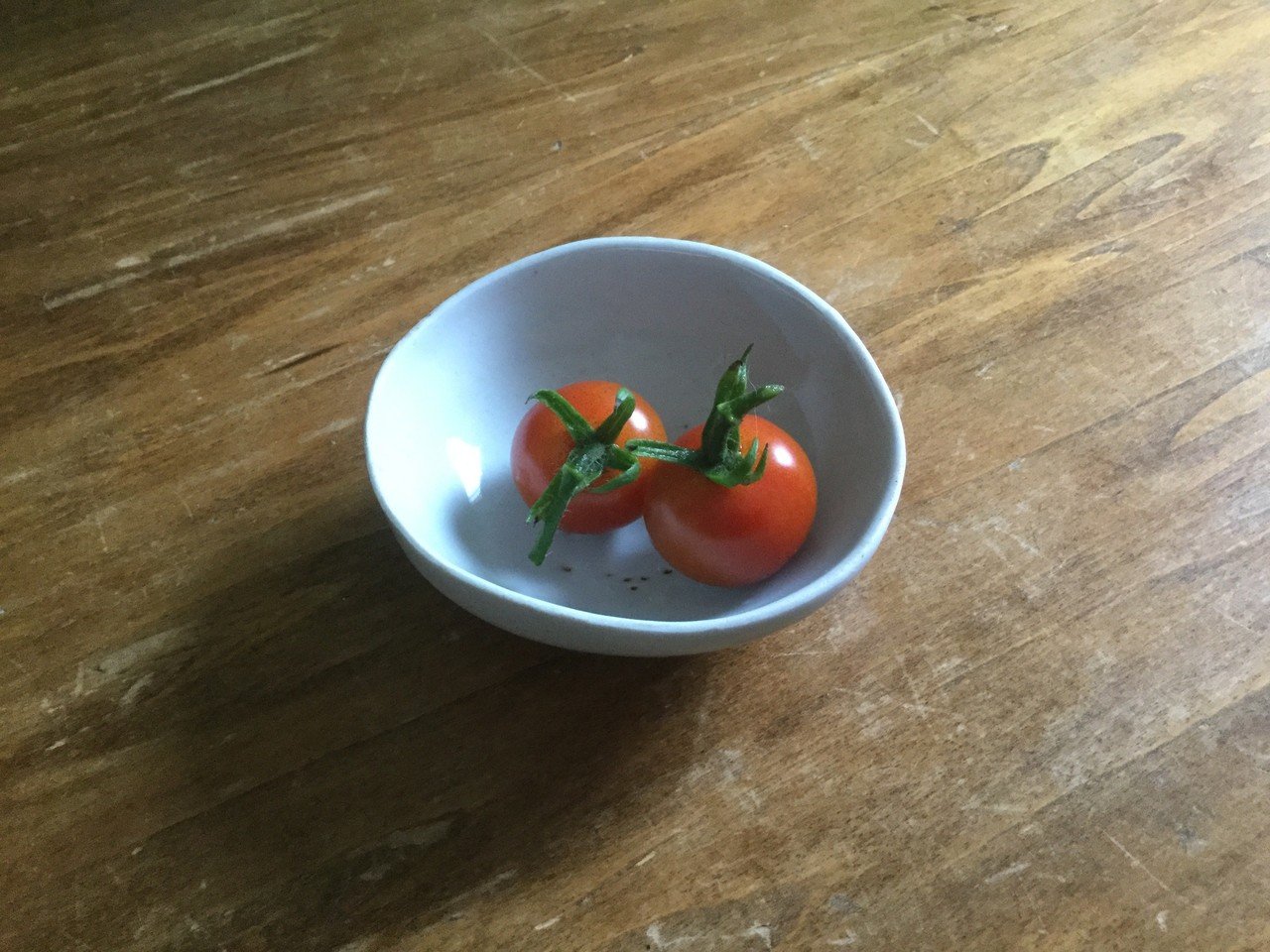 庭と畑の記録 13 ミニトマト その後 なな艸 Note 庭と畑の記録 13 ミニトマト その後 なな艸 Note