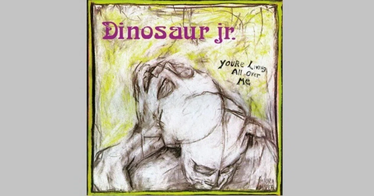 私構100：15 Dinosaur Jr.「You're Living All Over Me」｜ごあ（宇宙