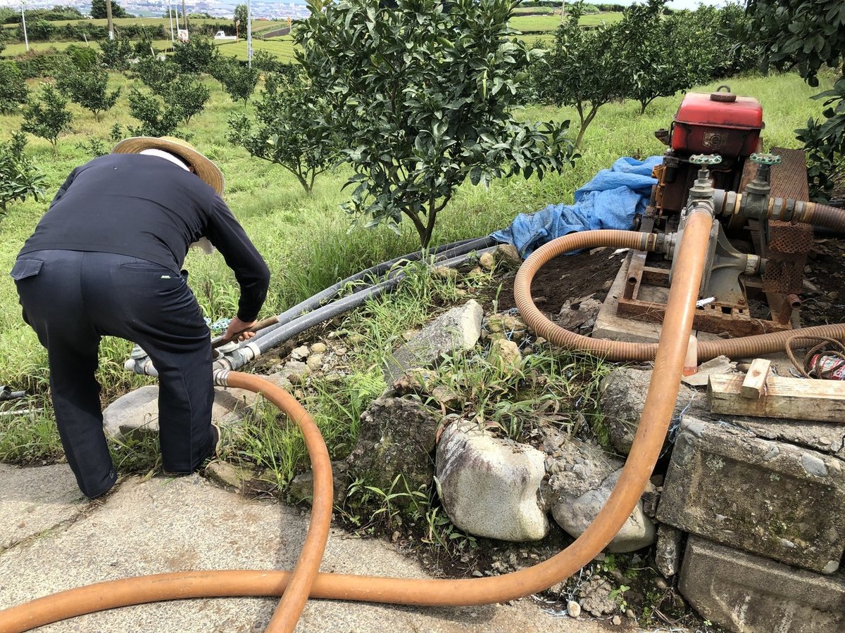 ヤンマーの発動機（ポンプ）の始動方法。｜はと