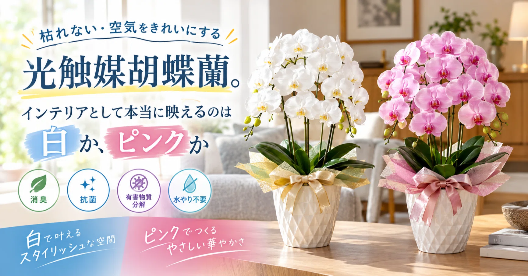 光触媒フラワー 風薫る彩りを贈る 光触媒フラワー Mフラワーギフト 枯れない魔法 枯れない・空気をきれいにする「光触媒胡蝶蘭」。インテリアとして