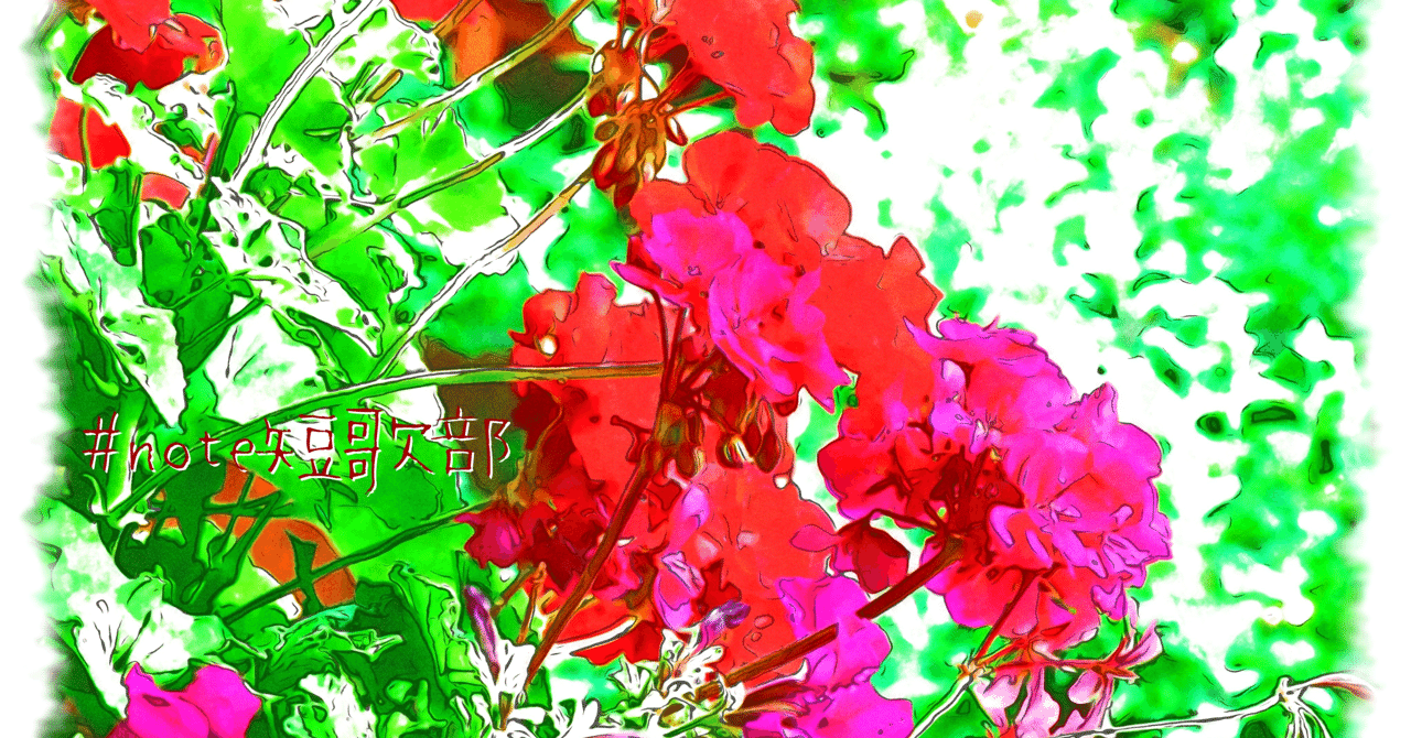 短歌 7月27日 誕生花は天竺葵 Note短歌部 御子柴 流歌 Note 短歌 7月27日 誕生花は天竺葵 Note短歌部 御子柴 流歌 Note