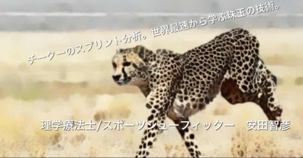 スプリント分析 チーターから学ぶ珠玉の技術 安田智彦 アスリートのスプリントを科学する Note