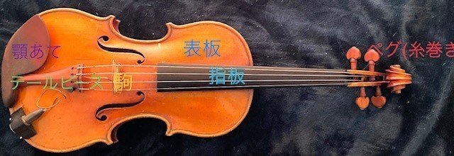 バイオリンのこの木、何の木、全部まとめて｜Violinist