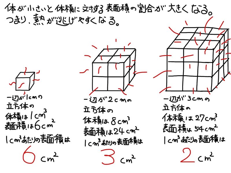 体積と表面積