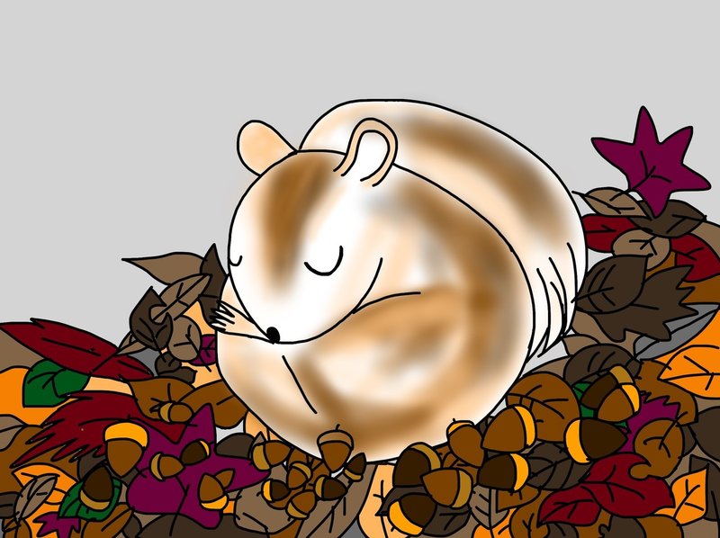 夏ですが 冬眠の話です や そね Note