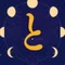 おとは|月のリズムで本音を読む案内人
