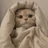 🐱 ⸝⸝꙳