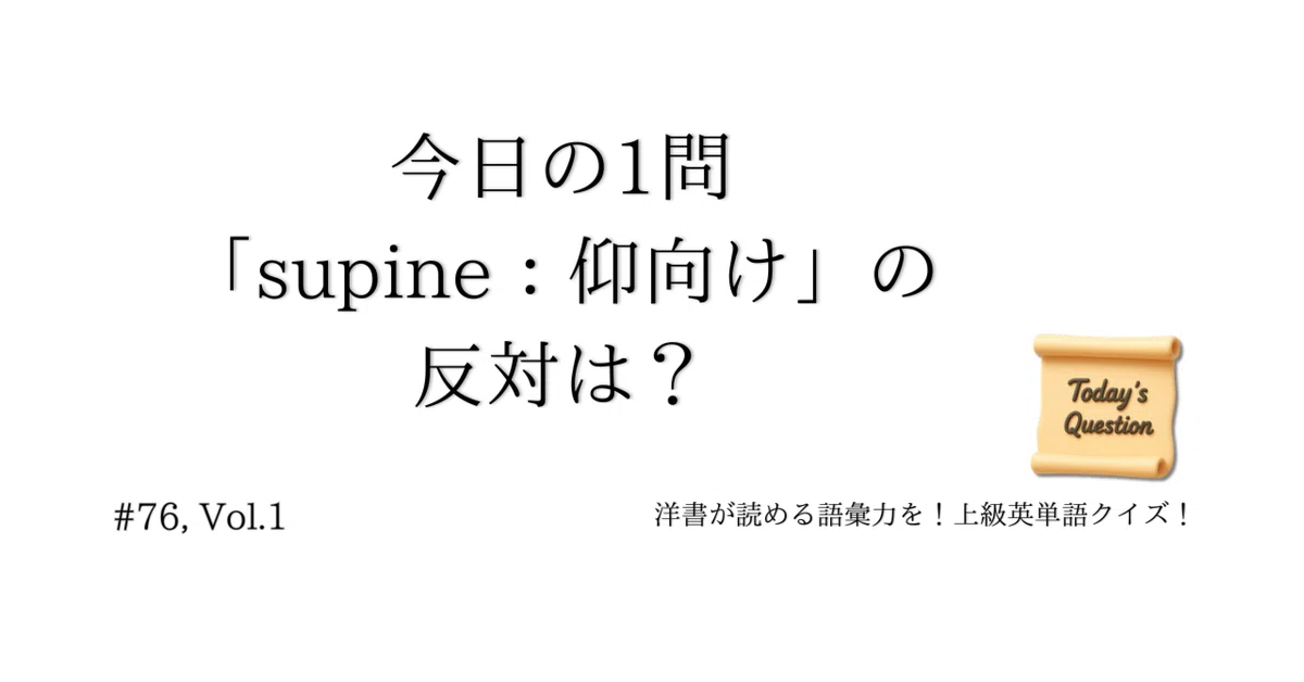 見出し画像
