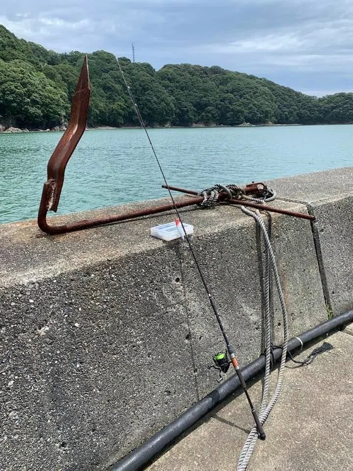 画像12