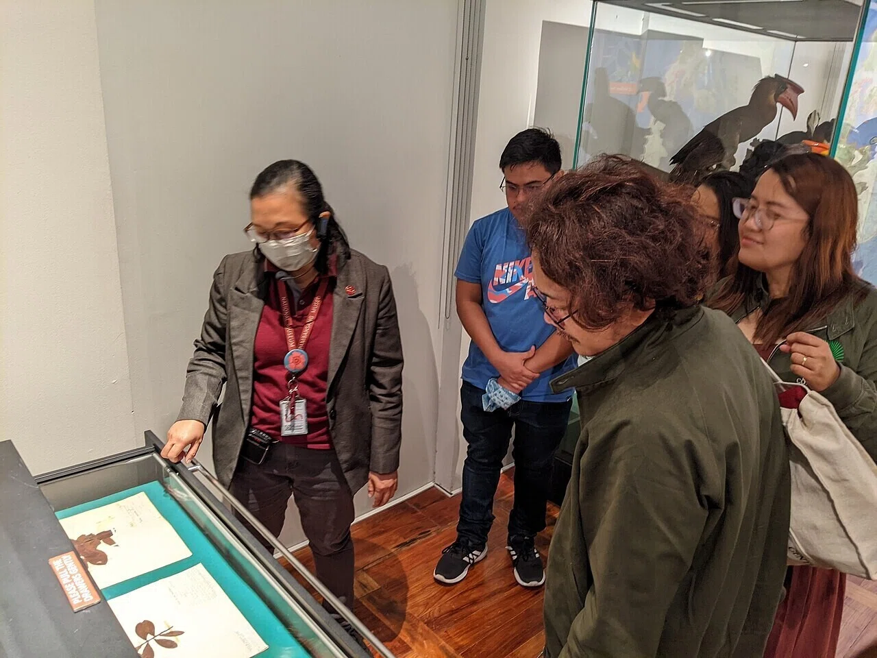ガラスケースの展示品を覗き込む来館者の姿。慣れない場所に置かれた作品をどう見るかという、次の伝え方の課題につながる光景だ。