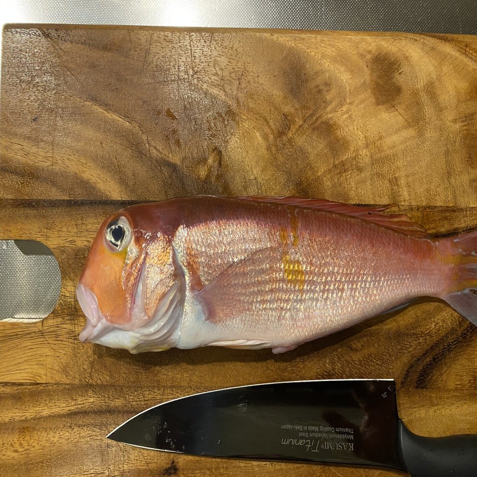 鱗まで食べられるらしい甘鯛を捌く｜Noriaki Kawanishi
