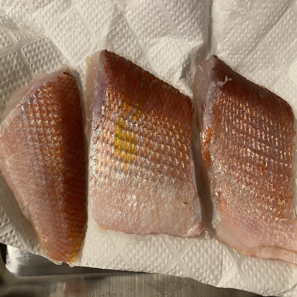 鱗まで食べられるらしい甘鯛を捌く｜Noriaki Kawanishi