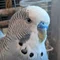 34歳|双子パパのリアル