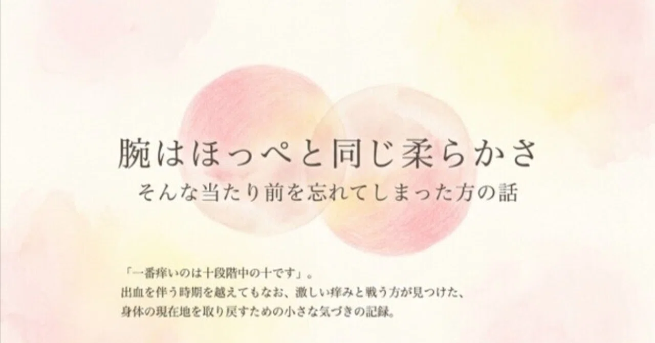 見出し画像