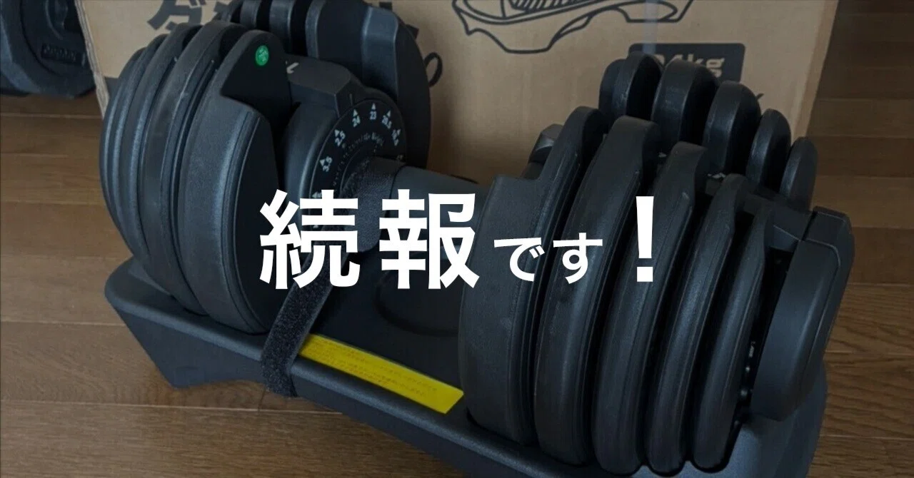 続報！】あの24kg可変式ダンベル、その後。調子に乗った代償は腰にきた