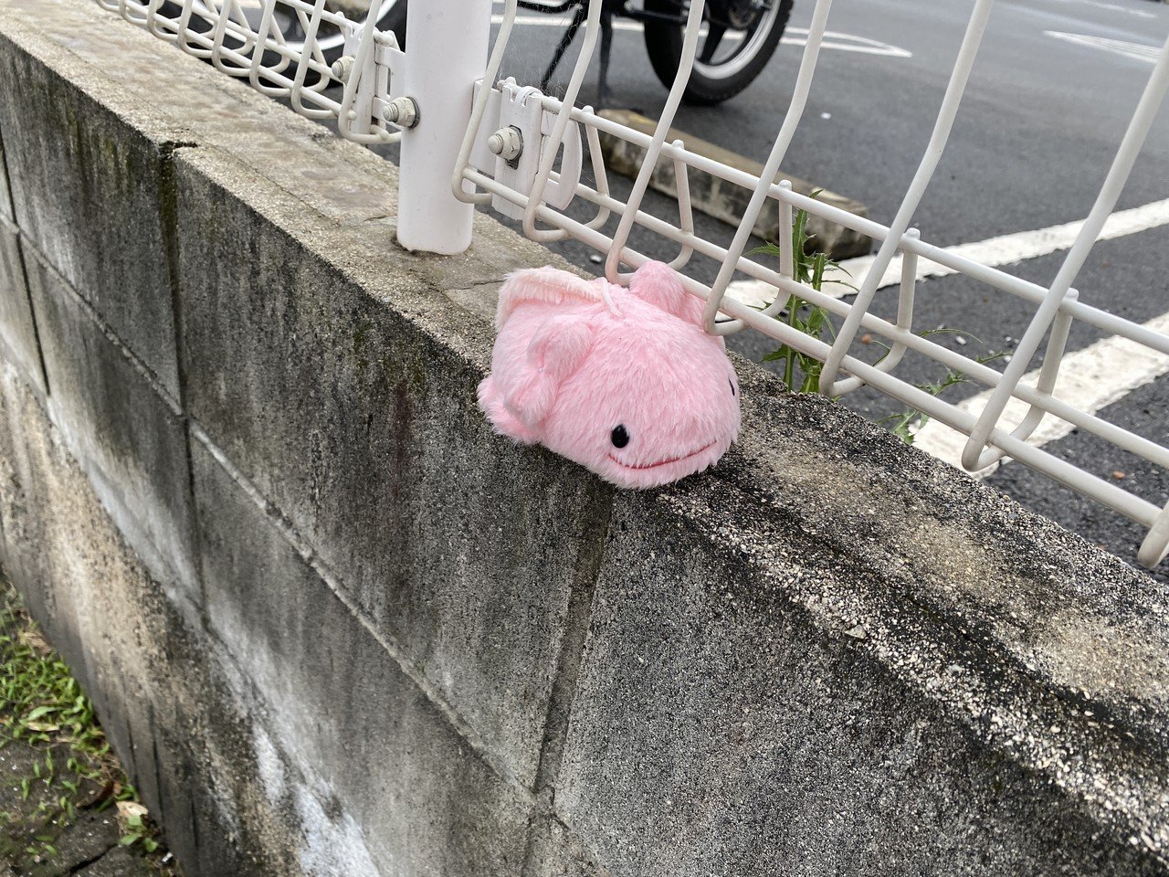 ももねこ様ぁ 竹原レーダー 毎日投稿 Note