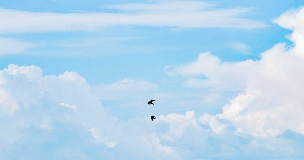 人の死を悲しく思うのは 共感性があるからなんだろう 望月 まつり 生きるの楽に研究 note