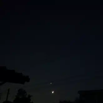 fluereフルールフラワーエッセンス