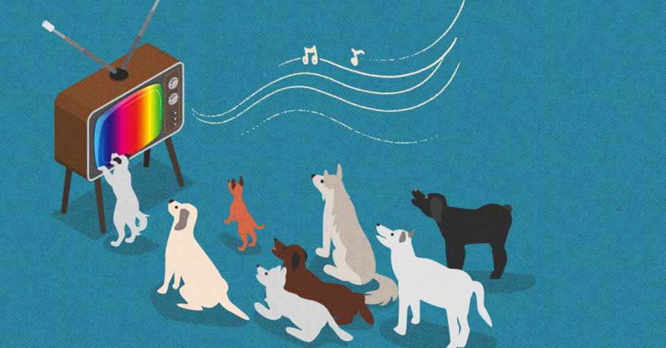 クラシック音楽を聴き始めの初心者におススメの鑑賞法 演奏家 楽器 でクラシック音楽の世界を広げよう 名古屋クラシック音楽堂 Note