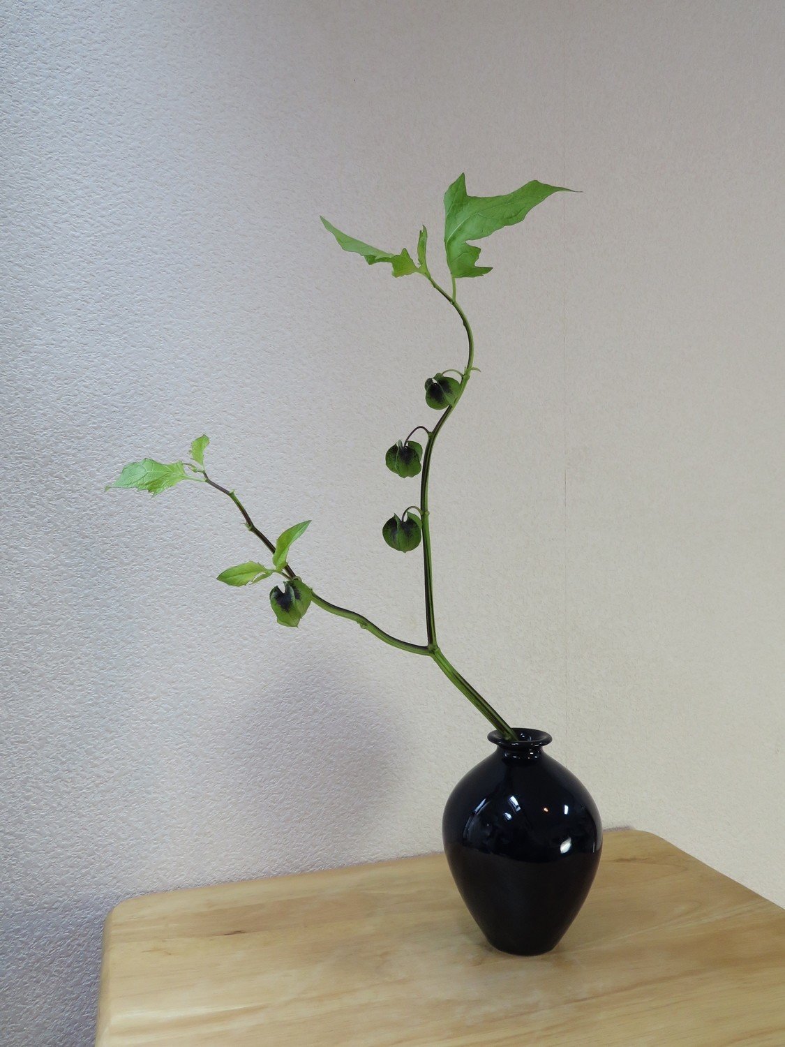 黒ほおずきをいけました 花と日々 Yas Note 黒ほおずきをいけました 花と日々 Yas Note