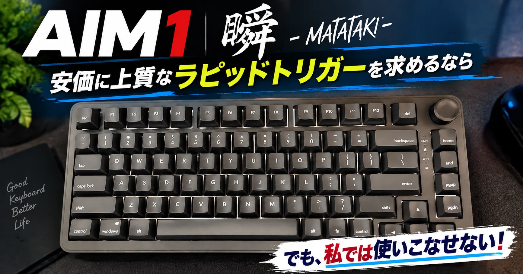 AIM1 瞬 - 私にラピッドトリガーは豚に真珠ではあるものの配列に惚れて