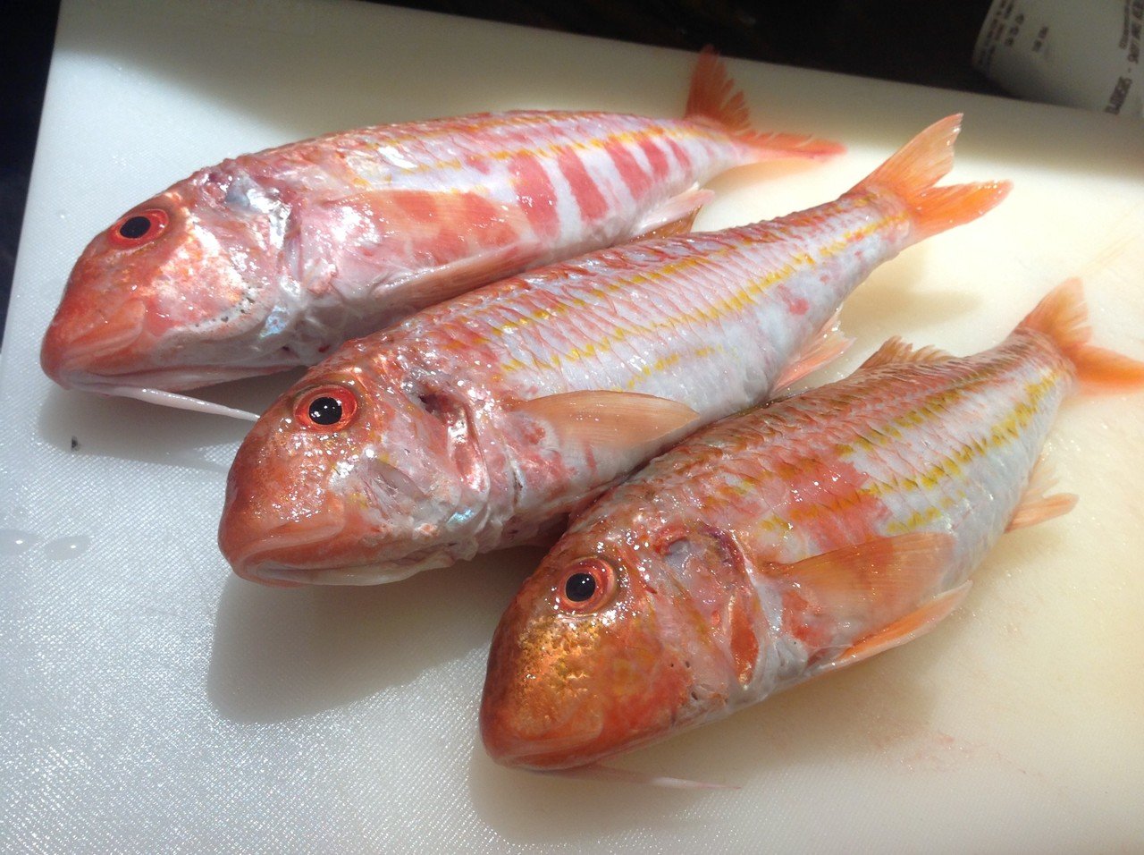 ロンドン魚屋の全然役に立たないお魚図鑑 Red Mullet プリヒル姉さん 魚屋 Note