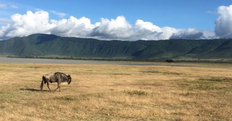 ヌーに生まれなくてよかった アドベントエッセイ 216 365 省あんり Note