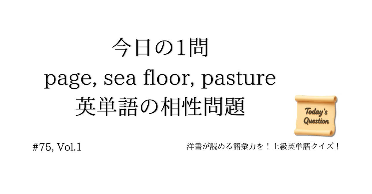 見出し画像