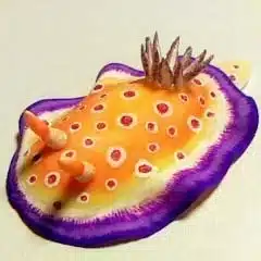 にっき水