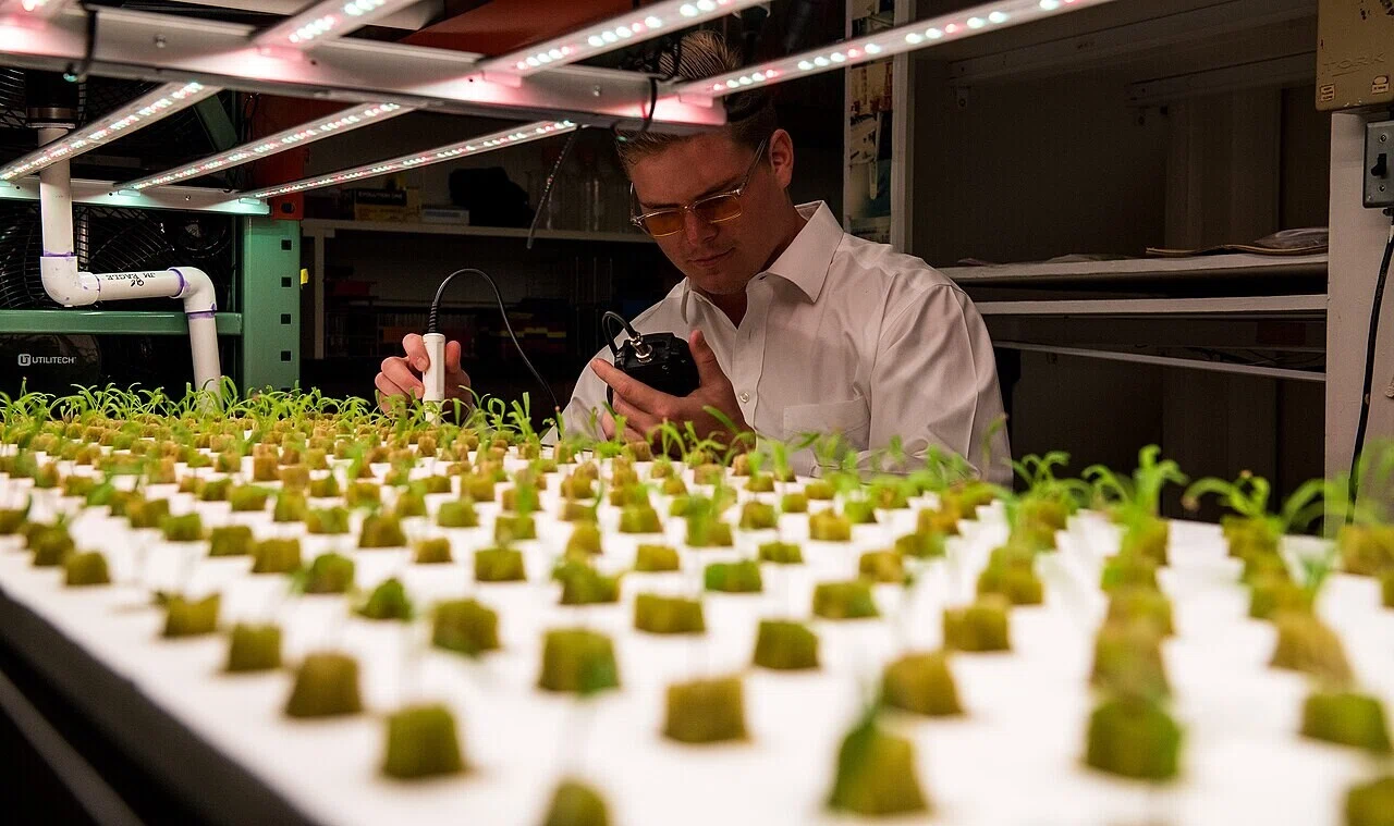 LED栽培ライトの下で若い植物を測定する担当者の姿。垂直農法では環境の管理と計測が収益を左右する。