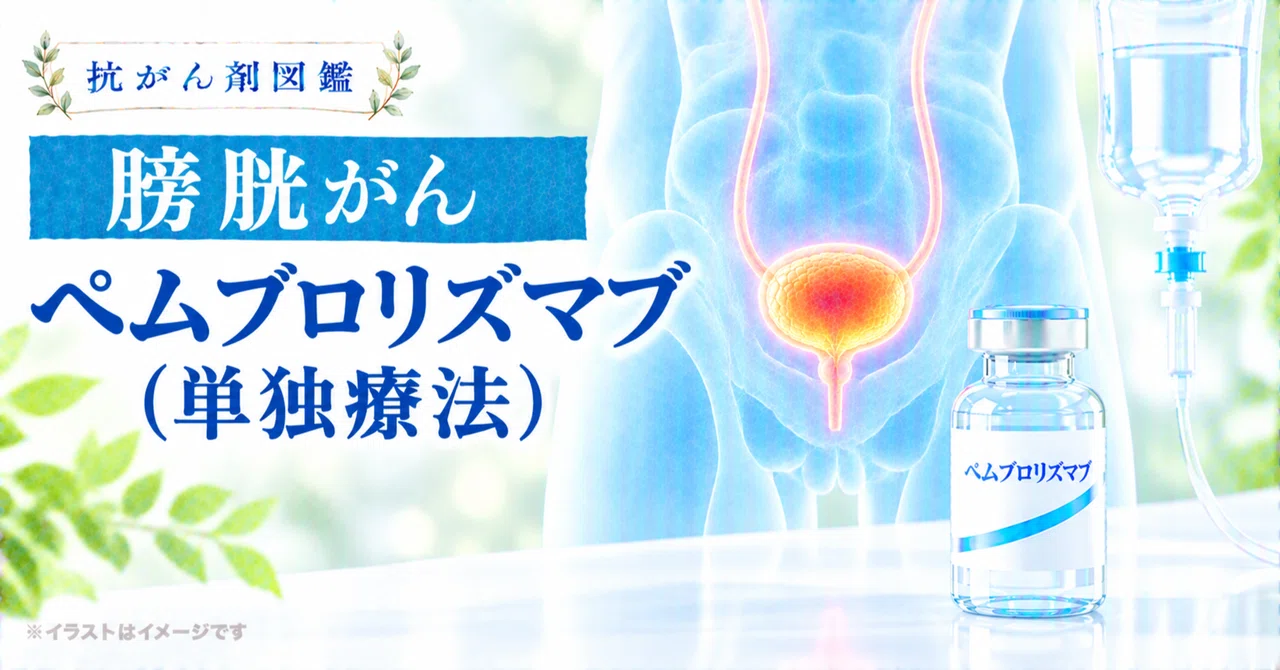 [Bladder Cancer] About Pembrolizumab Monotherapy｜抗がん剤図鑑｜Cancer Drug ...