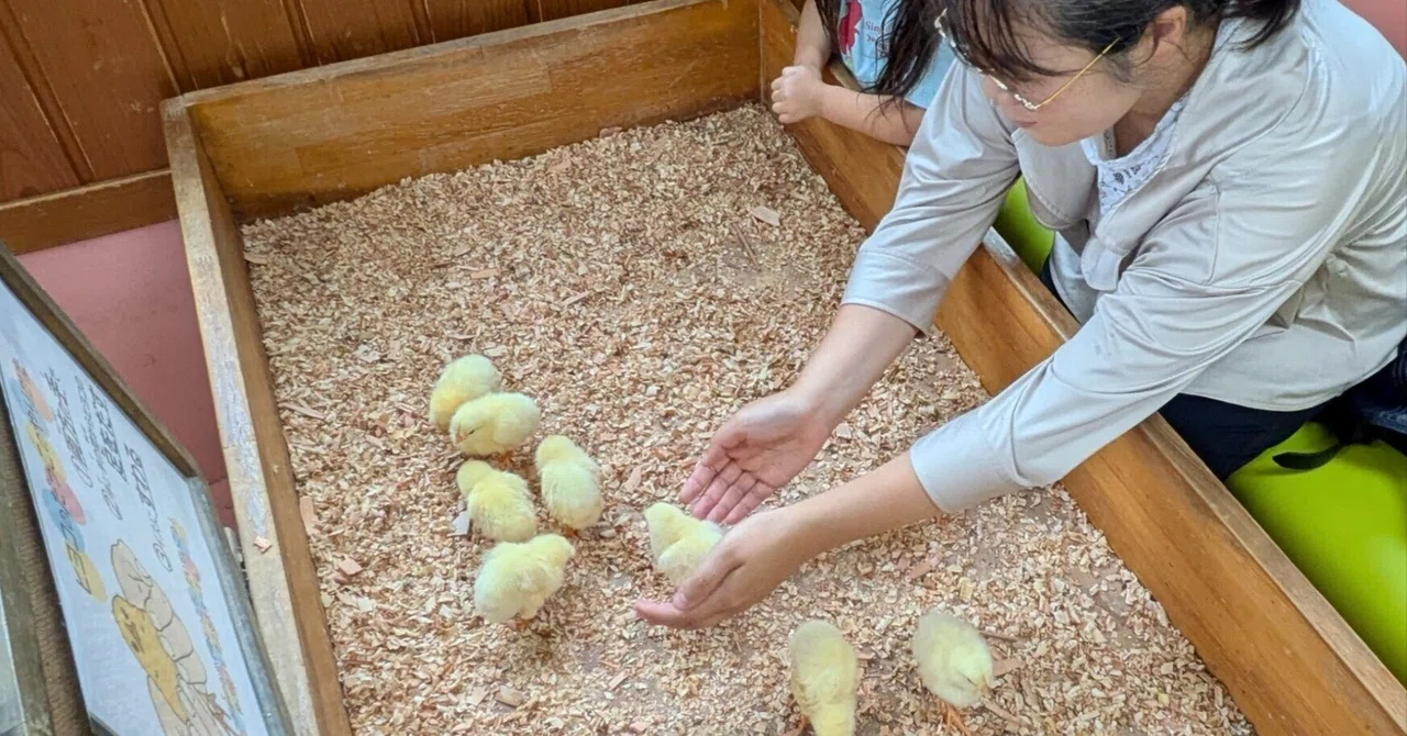 3歳娘と東武動物公園へ。ひよこに触って、ポニーに乗って、1日じゃ足り
