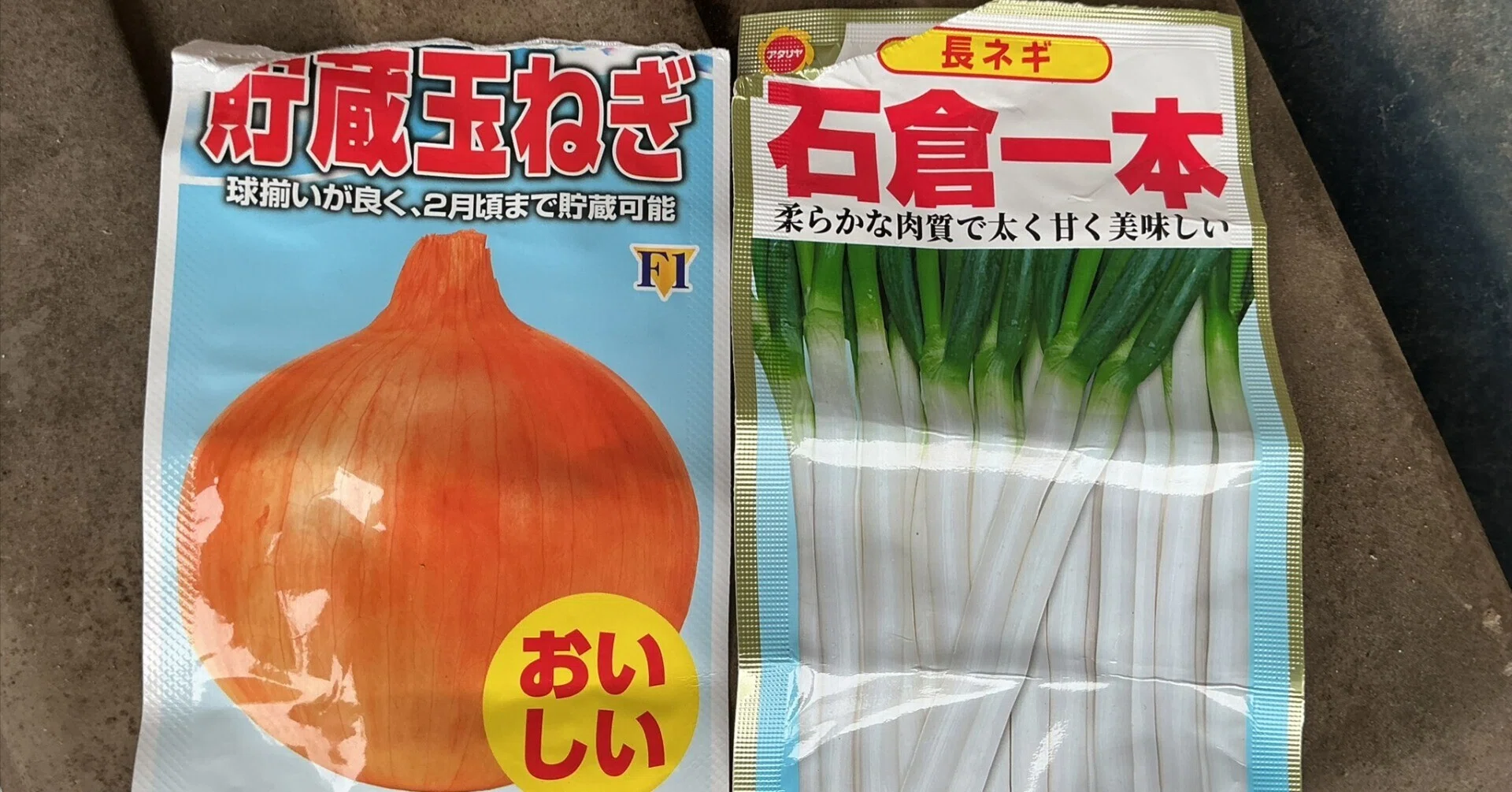 長ネギと玉ねぎの苗づくり開始！｜DJ.プラグマティクス