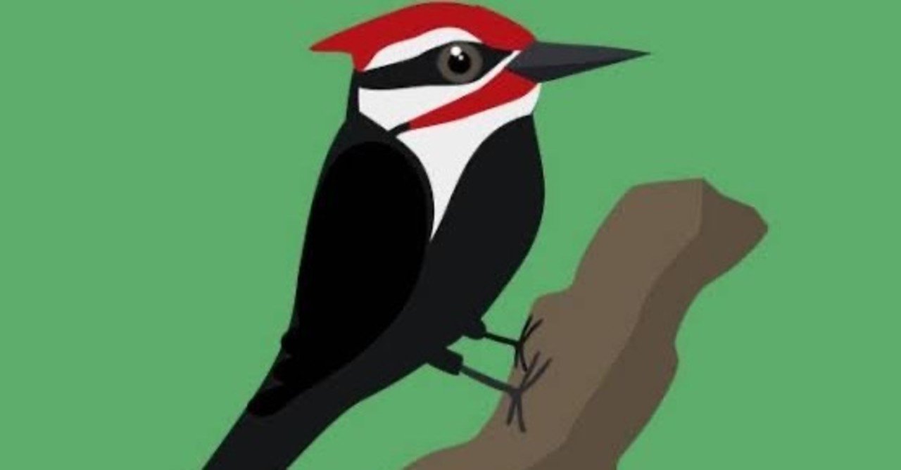 第1166回 クマゲラ｜翆野 大地