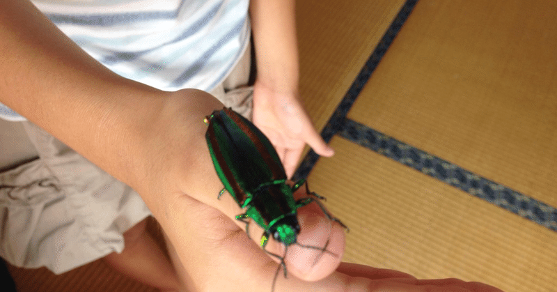 虹 色のゴキブリ サトケンnote特別支援研究所 Note