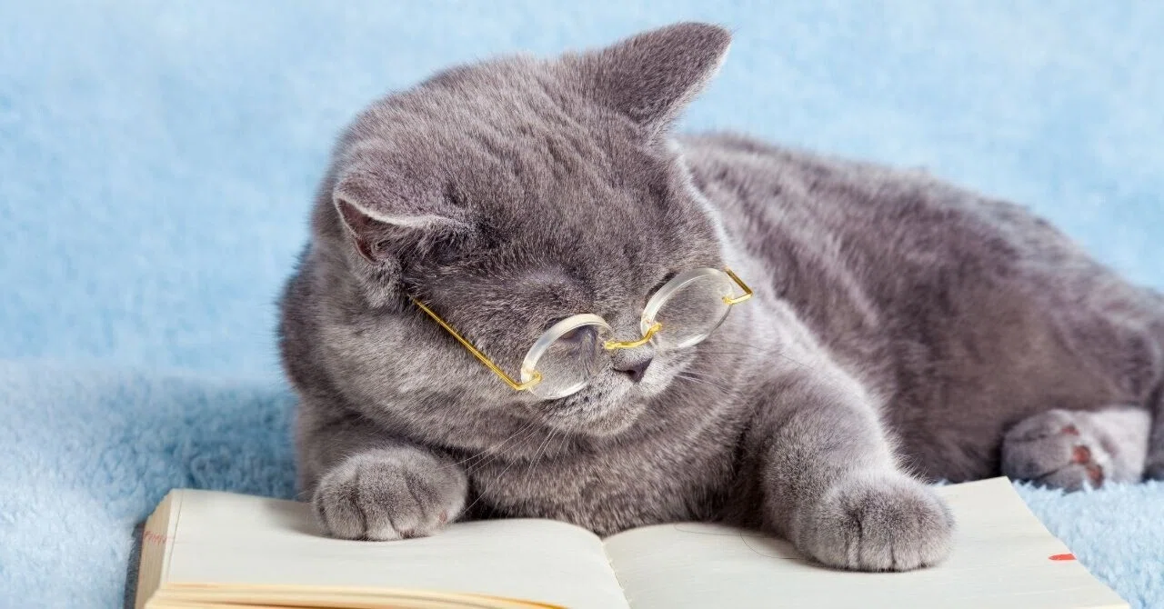 A Small Question of the Day (33) ~Do you write to be read?~｜むらさき@会社員