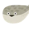 Maggu