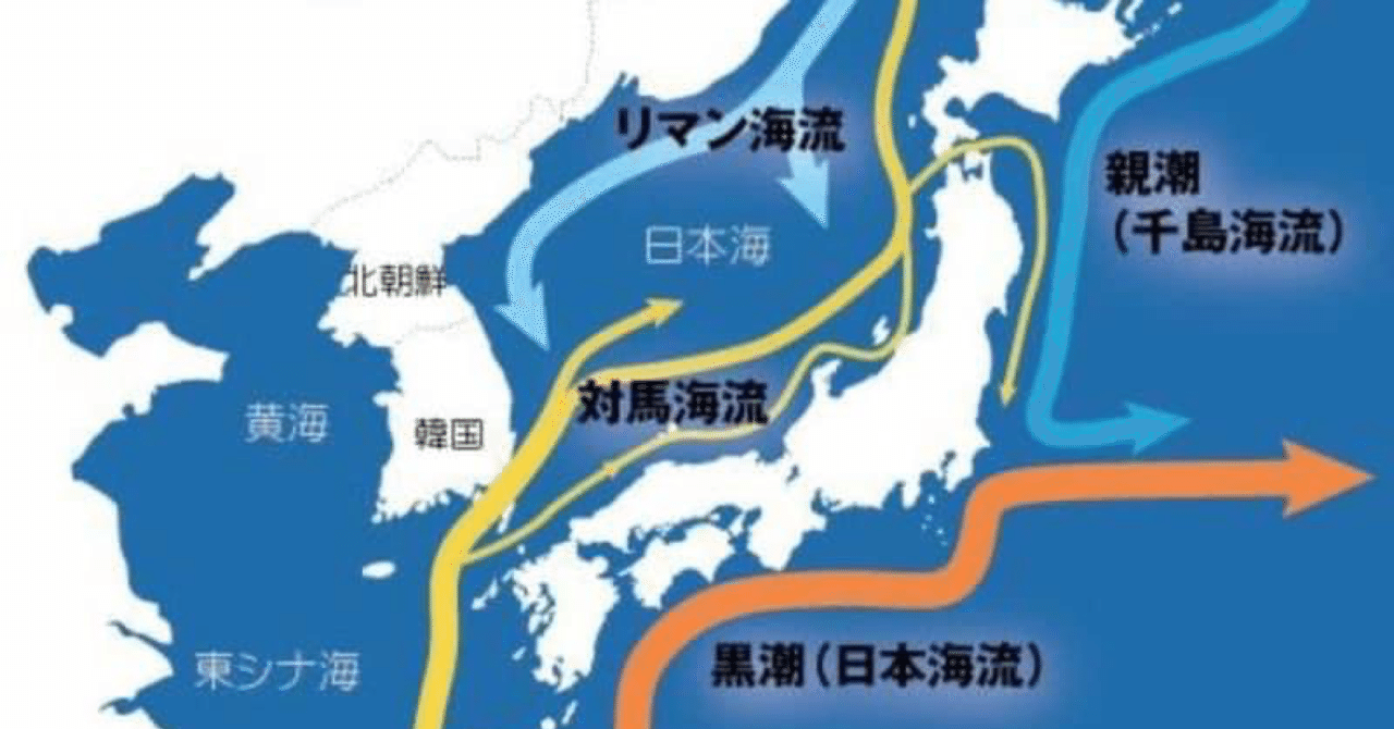 宝貝と海流 Shimamuranobuo Note 宝貝と海流 Shimamuranobuo Note