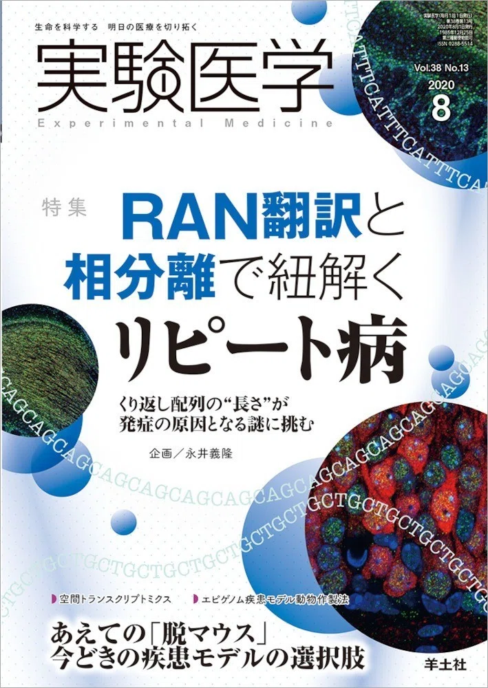 画像11