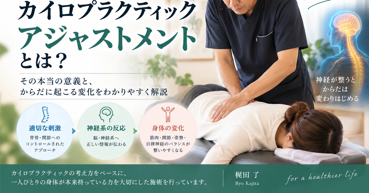 週末セール美品ケース付アジャスティング・インストゥルメント 骨盤・背骨矯正カイロ カイロプラクティックの「アジャストメント」とは？｜骨を戻すだけでは