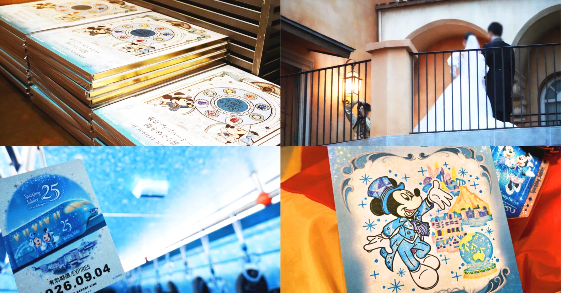 東京ディズニーシー 掟を破ってインパした25周年記念日 26.09.04｜ねがくず