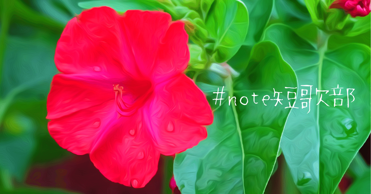 短歌 7月28日 誕生花は白粉花 Note短歌部 御子柴 流歌 Note 短歌 7月28日 誕生花は白粉花 Note短歌部 御子柴 流歌 Note